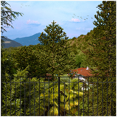 Alpino Hotel Ristorante vista dalle camere